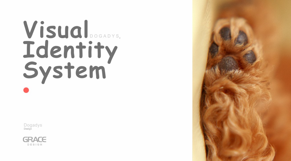 宠物品牌logo设计vi设计品牌规划