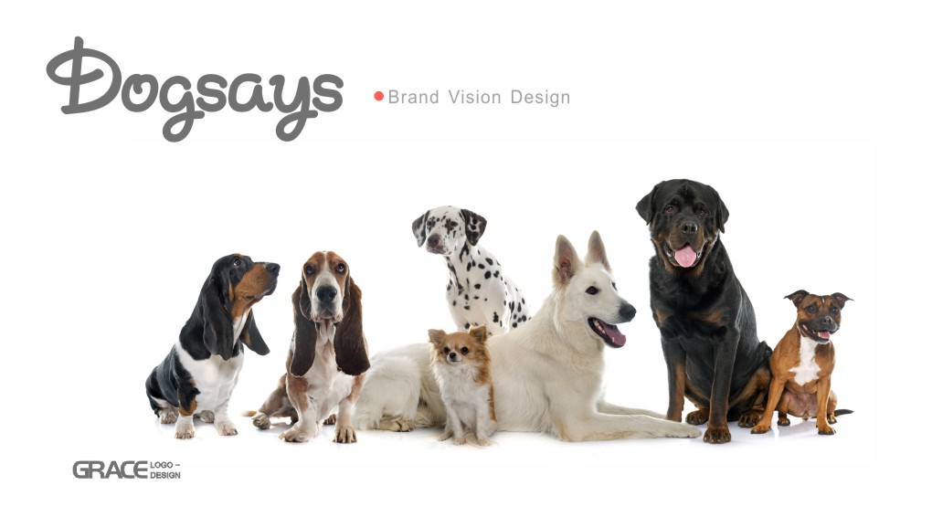 宠物品牌logo设计vi设计品牌规划