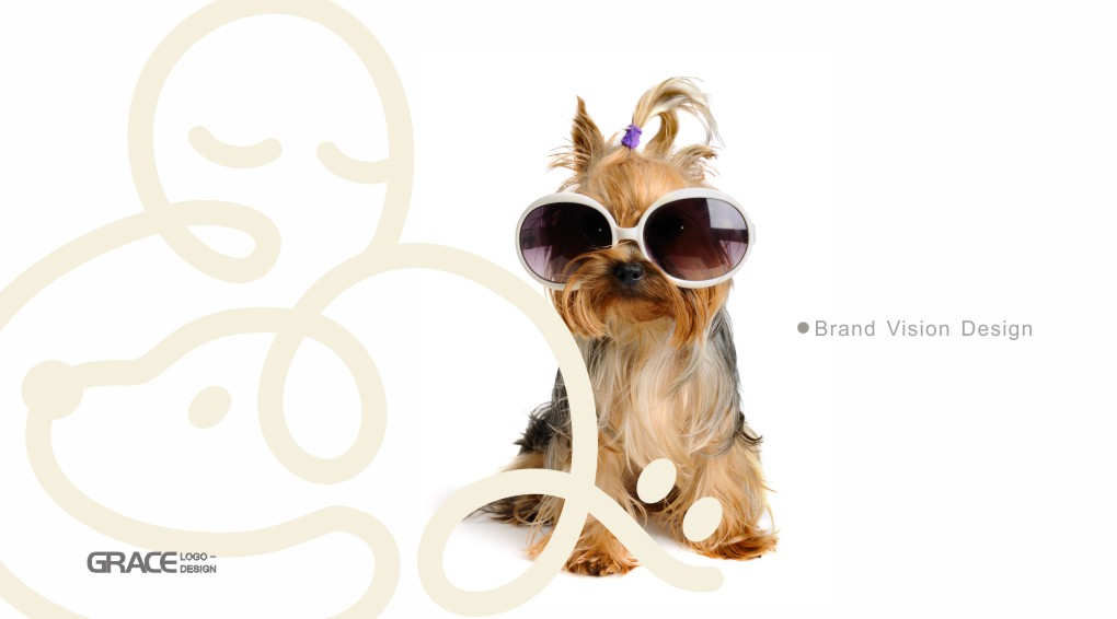 宠物品牌logo设计vi设计品牌规划