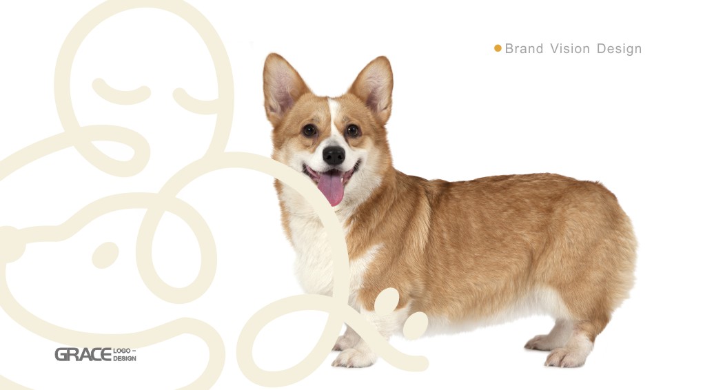 宠物品牌logo设计vi设计品牌规划